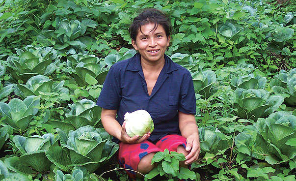 A woman sits in a field of cabbage.