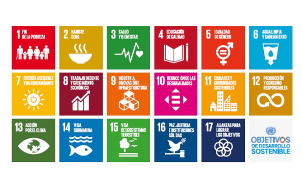 Jede Kachel der 17 Kacheln der 17 Ziele für nachhaltige Entwicklung zeigt in unterschiedlichen Farben das Ziel und ein Symbol, dass das Ziel bildlich darstellt. Foto: Engagement Global