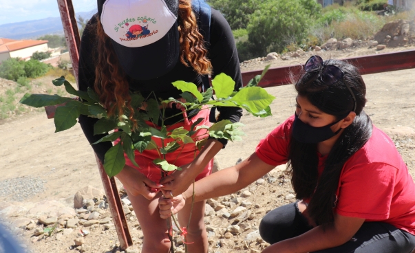 Zwei junge Frauen pflanzen gemeinsam einen Baum.