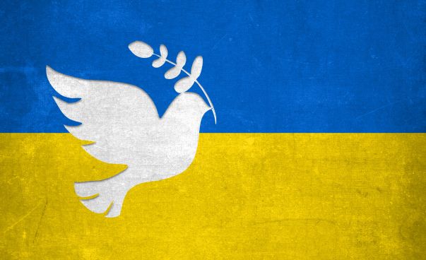 Die ukrainisische Flagge mit einer weißen Taube im Vordergrund.