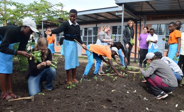 Deutsche und ruandische Jugendliche pflanzen Gemüse.