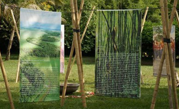 Das Foto zeigt die Ausstellung im Freien, es hängen mehre große Fotos vom Bambusprojekt an Babmusstäben.