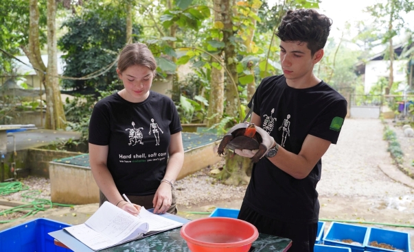 Ein junger Mann hält eine Schildkröte hoch, während eine junge Frau etwas in einem Heft notiert. Sie tragen die gleichen Shirts. Um sie herum sind Eimer mit weiteren Schildkröten.