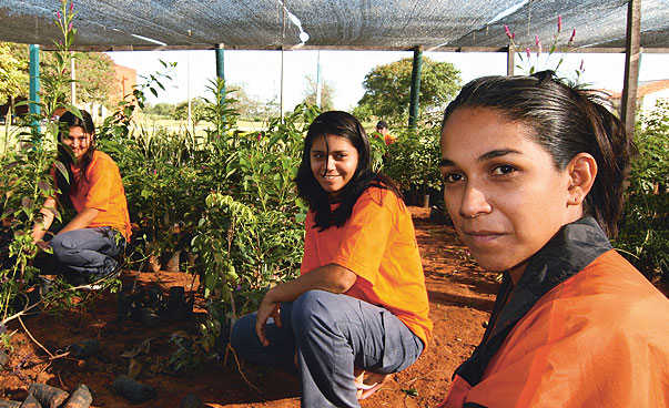 Frauen bei landwirtschaftlicher Arbeit im Rahmen eines bengo-Projektes.